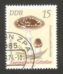 Stamps Germany -  Champiñón, amanita pantherina