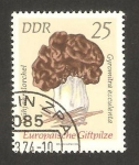 Stamps Germany -  champiñon, gyromitra esculenta