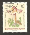 Stamps Germany -  champiñon, inocybe patouillardii