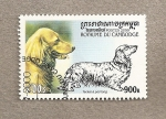 Stamps : Asia : Cambodia :  PerroTeckel de pelo largo