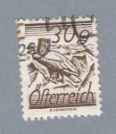 Stamps Austria -  30g