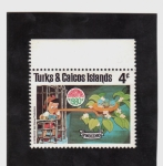Stamps Europe - Turks and Caicos Islands -  Pinocho
