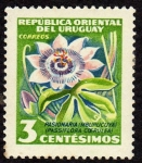 Stamps Uruguay -  Pasionaria