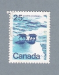 Stamps : America : Canada :  Osos Polares