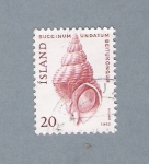 Stamps : Europe : Iceland :  Concha