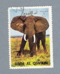 Sellos de Asia - Arabia Saudita -  Elefante