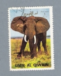 Sellos del Mundo : Asia : Saudi_Arabia : Elefante