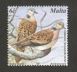 Stamps : Europe : Malta :  aves, stretopelia turtur
