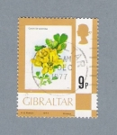 Sellos del Mundo : Europa : Gibraltar : Flor Coronilla