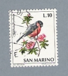 Stamps : Europe : San_Marino :  Pajarito