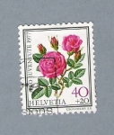 Stamps Switzerland -  Rosas