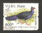 Stamps Vietnam -  fauna, faisán de edwards