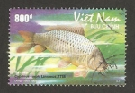 Stamps Vietnam -  pez, cyprinus carpio