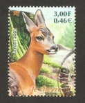 Stamps France -  fauna, un corzo