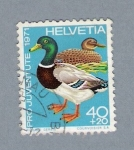 Stamps : Europe : Switzerland :  Patos