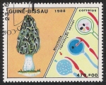 Stamps Guinea Bissau -  SETAS-HONGOS: 1.161.012,00-Morchella