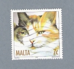 Stamps : Europe : Malta :  Gatito