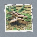Stamps : Europe : Malta :  Setas