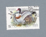 Stamps Russia -  Patos