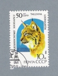 Stamps : Europe : Russia :  Lince