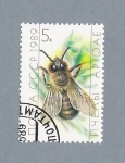 Stamps : Europe : Russia :  Mosca