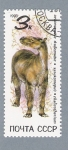 Stamps : Europe : Russia :  Animales de la Prehistória