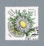 Stamps Russia -  Carlina Acaulis