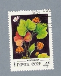 Stamps : Europe : Russia :  Mopowka