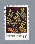 Stamps Russia -  Romygnka