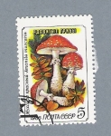 Stamps Russia -  Setas