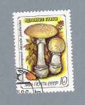 Stamps Russia -  Setas