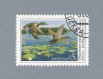 Stamps Russia -  Patos