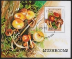 Stamps Africa - Somalia -  SETAS:229.007 Cortinarius renidens