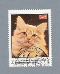 Stamps Yemen -  Gato