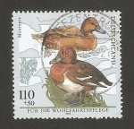 Stamps Germany -  aves en peligro de extinción