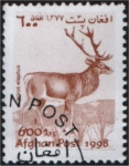Stamps Asia - Afghanistan -  Cervus elaphus
