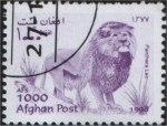 Stamps Asia - Afghanistan -  Panthera leo