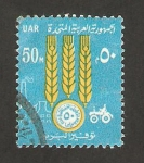 Stamps Egypt -  espigas