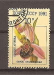 Stamps : Europe : Russia :  Orquideas.
