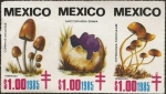 Stamps America - Mexico -  Hongos