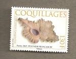 Stamps Oceania - Polynesia -  Conchas