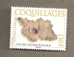 Stamps Polynesia -  Conchas