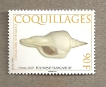 Stamps Polynesia -  Conchas