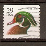 Stamps United States -  PATO  CARPINTERO