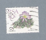 Stamps : Africa : South_Africa :  Hein Botha