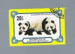 Stamps : Asia : Mongolia :  Osos Panda