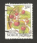 Stamps Norway -  bayas salvajes, fragaria vesca
