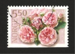 Sellos de Europa - Noruega -  flor, rosas