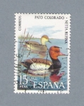 Stamps Spain -  Pato Colorado (repetido)