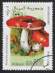 Stamps Somalia -  SETAS:229.002 Russula pseudointegra